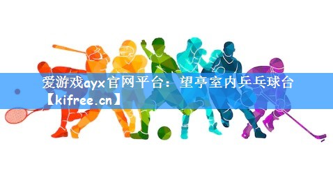 爱游戏ayx官网平台：望亭室内乒乓球台