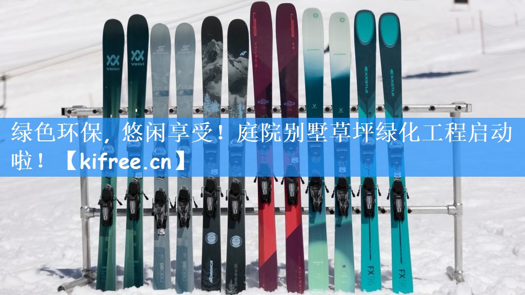 绿色环保, 悠闲享受！庭院别墅草坪绿化工程启动啦！