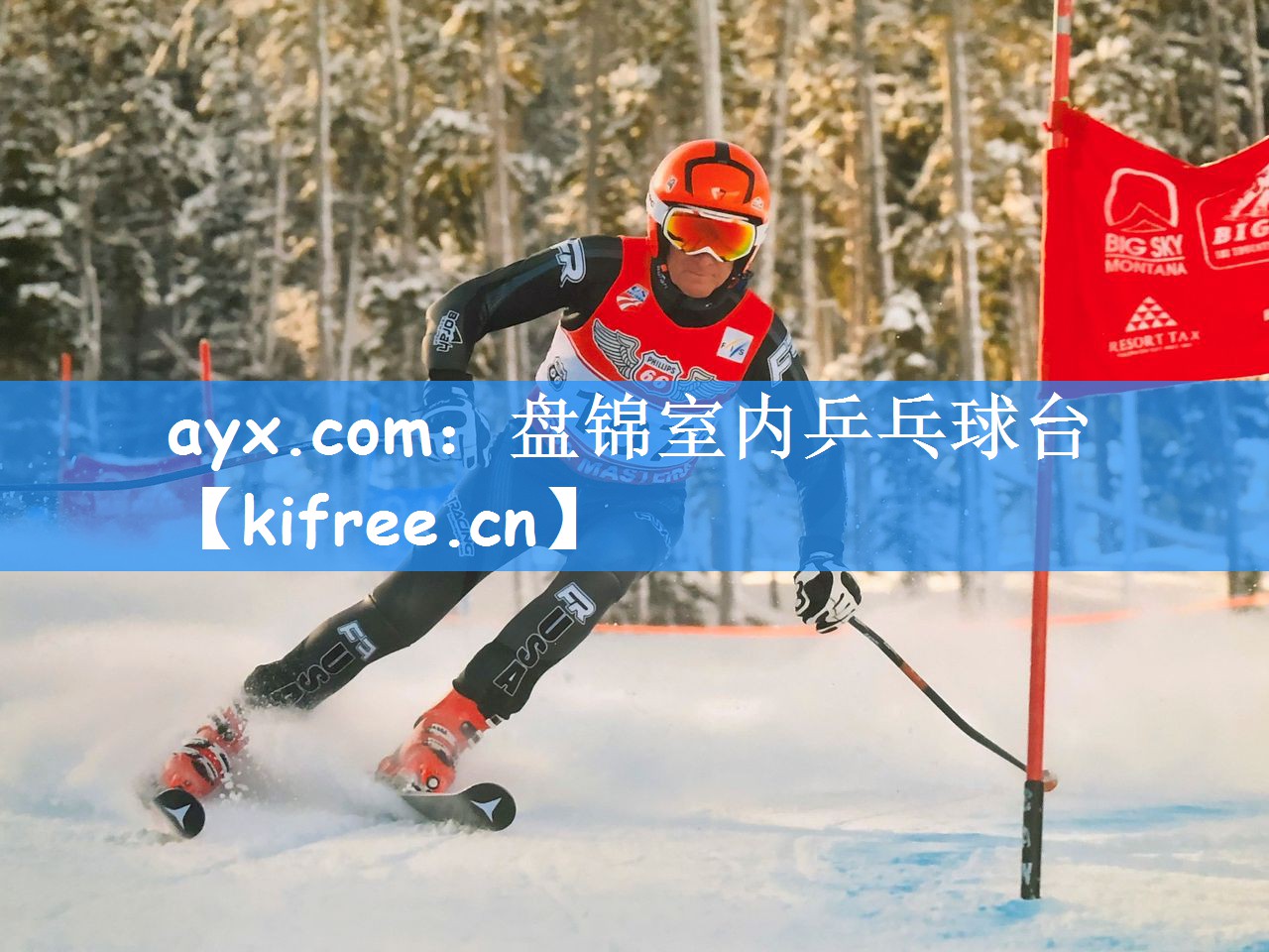 ayx.com：盘锦室内乒乓球台