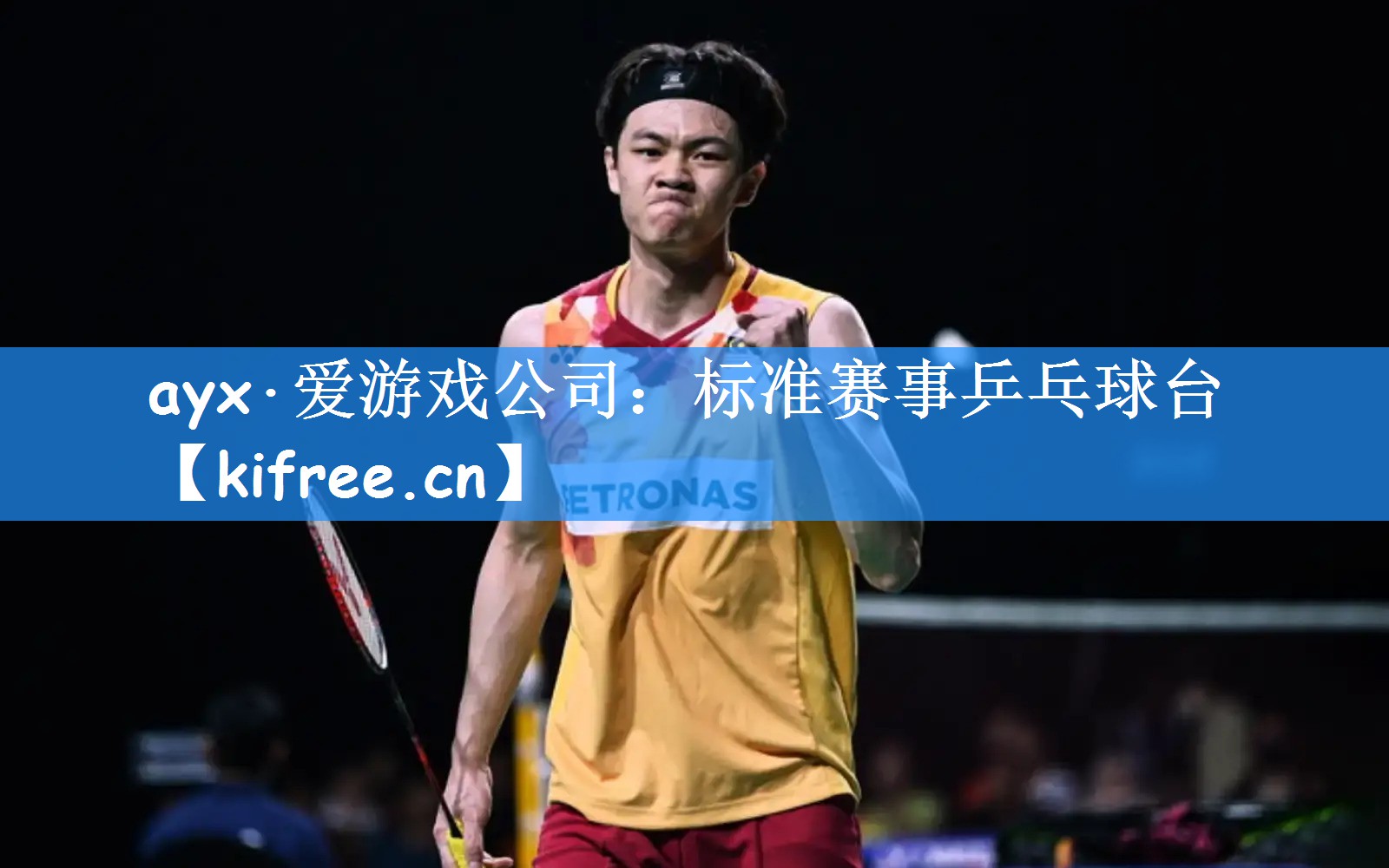 ayx·爱游戏公司:标准赛事乒乓球台