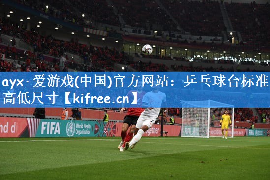 乒乓球台标准高低尺寸