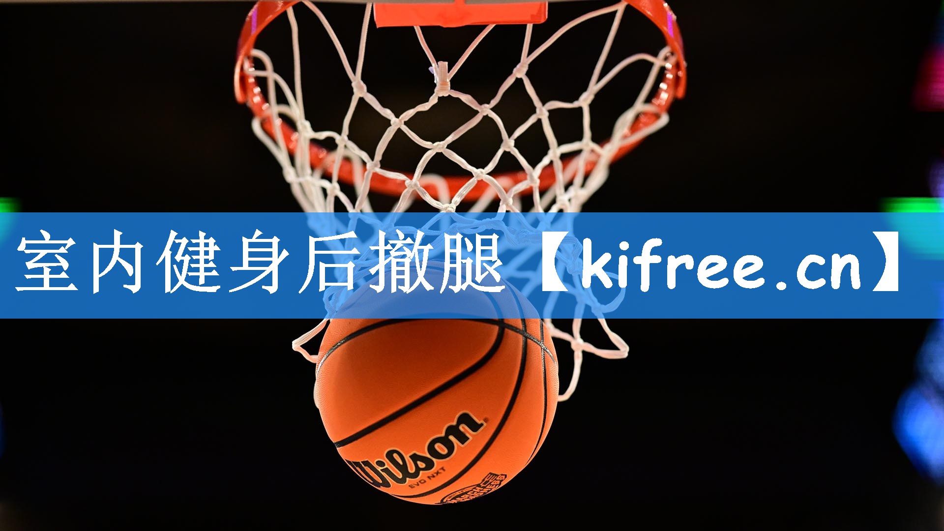 室内健身后撤腿